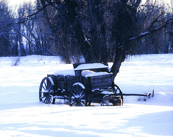 Badger Creek winter scene - January 1995
