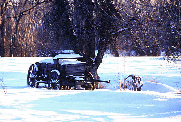 Badger Creek winter scene - January 1995