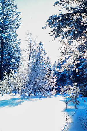 Kelly Canyon - Hawley Gulch ID - Jan 1995