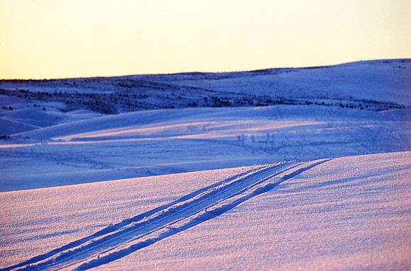 Sand Dunes in the winter - Jan 1995