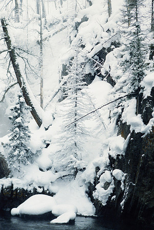 Yellowstone in the winter