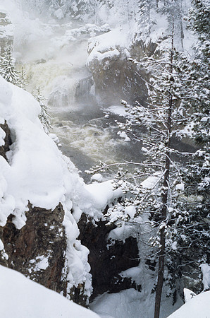 Yellowstone in the winter