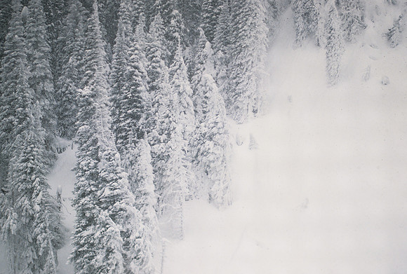Continuing Education. Snowmobiling photo class to Mesa Falls and Island Park area.  March 1997