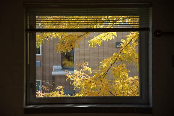 BYU-Idaho campus on a crisp October morning. October 2018