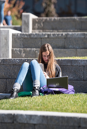Student studying in between classes near the library.