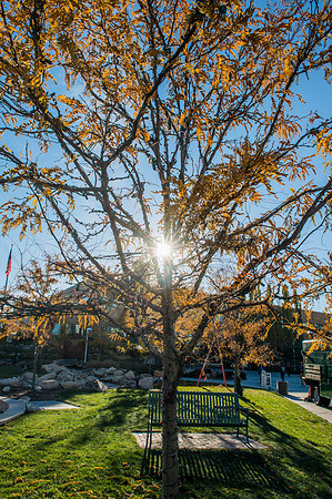 Autumn Sun - Oct 2018