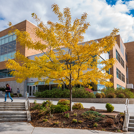 Autumn Splendor - Oct 2018
