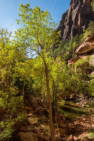 Zion National Park - Sept 2018