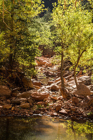 Zion National Park - Sept 2018