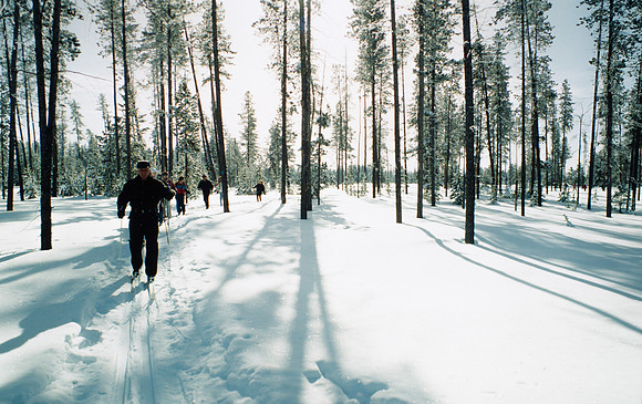 Cross Country Skiing - Jan. 1993
