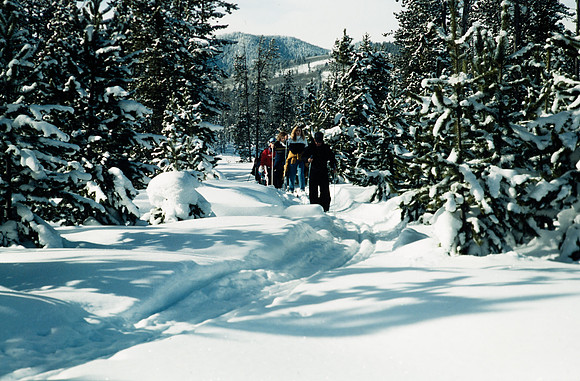 Cross Country Skiing - Jan. 1993