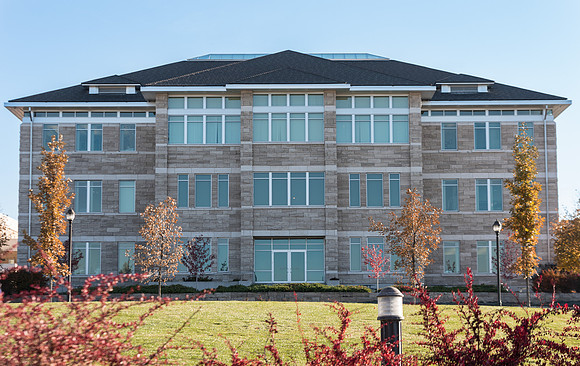 BYU-Idaho Campus. Oak Trees on the North side of the Spori Building.