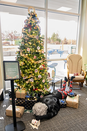 Different departments and faculty decorate christmas trees in the MC.