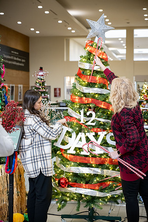 Different departments and faculty decorate christmas trees in the MC.