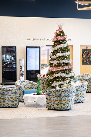 Different departments and faculty decorate christmas trees in the MC.