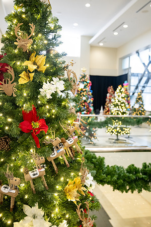 Different departments and faculty decorate christmas trees in the MC.