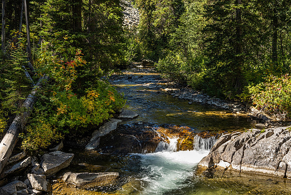 GTNP - Sept 2021