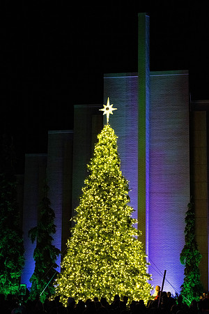 Campus Christmas - Nov 2023