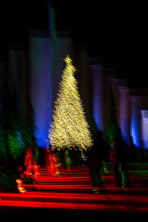 Campus Christmas - Nov 2023