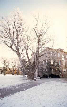 Ricks College Campus. January 1998.