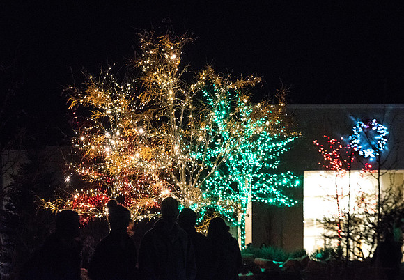 Christmas Lighting in Taylor Quad--November 2018