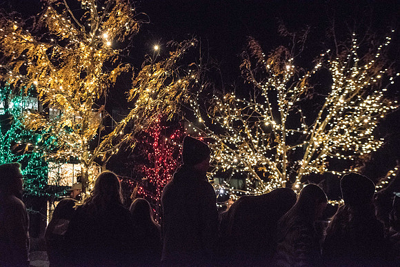 Christmas Lighting in Taylor Quad--November 2018