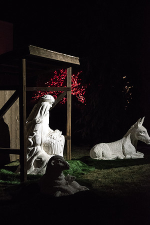 Christmas Lighting in Taylor Quad--November 2018