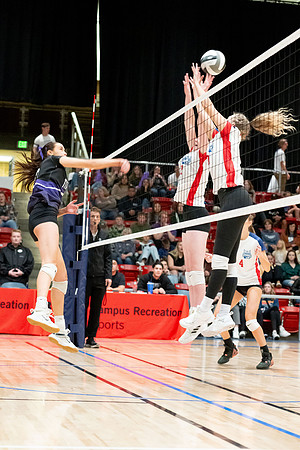 Volleyball championships for the women's and men's competitive teams.