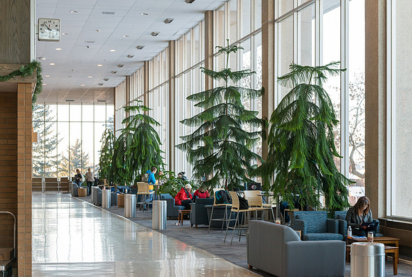 BYU-Idaho campus