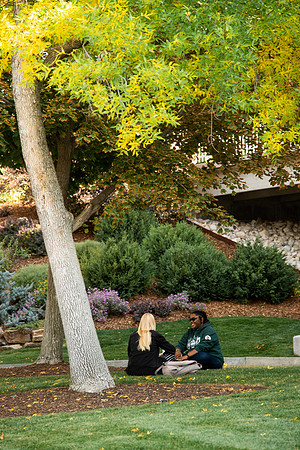 Changing leaves on trees around campus during the fall 2021 semester.