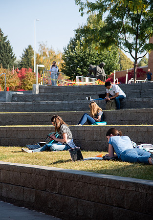 Changing leaves on trees around campus during the fall 2021 semester.