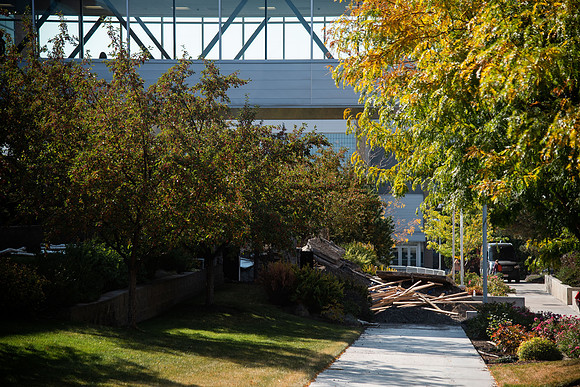 Changing leaves on trees around campus during the fall 2021 semester.