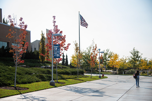Changing leaves on trees around campus during the fall 2021 semester.