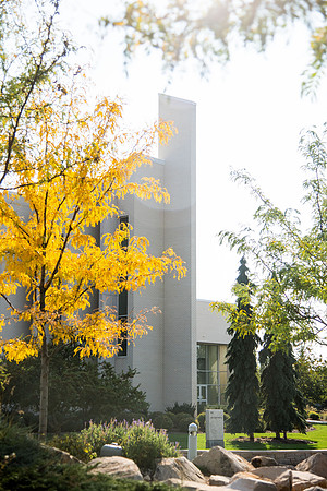Changing leaves on trees around campus during the fall 2021 semester.