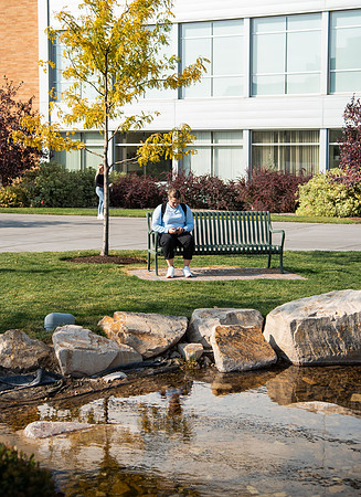 Changing leaves on trees around campus during the fall 2021 semester.