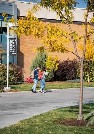Changing leaves on trees around campus during the fall 2021 semester.