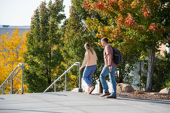 Changing leaves on trees around campus during the fall 2021 semester.