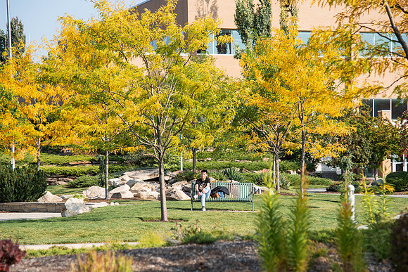 Changing leaves on trees around campus during the fall 2021 semester.