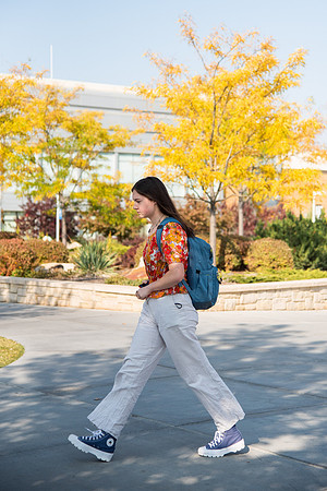 Changing leaves on trees around campus during the fall 2021 semester.