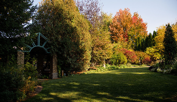 Changing leaves on trees around campus during the fall 2021 semester.