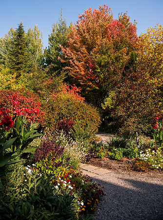 Changing leaves on trees around campus during the fall 2021 semester.