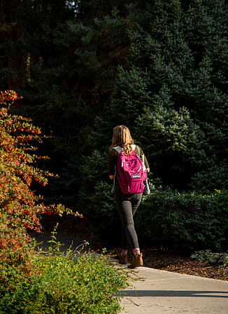 Changing leaves on trees around campus during the fall 2021 semester.