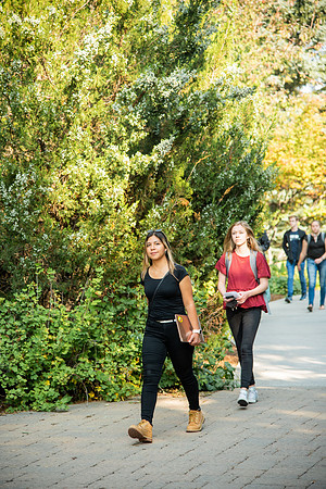 Changing leaves on trees around campus during the fall 2021 semester.