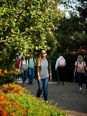 Changing leaves on trees around campus during the fall 2021 semester.