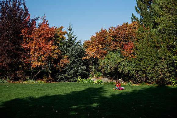 Changing leaves on trees around campus during the fall 2021 semester.