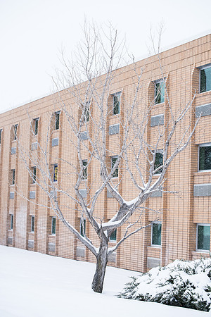 Students make their way through the snow to get to class. December 2018
