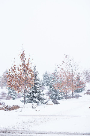 Students make their way through the snow to get to class. December 2018