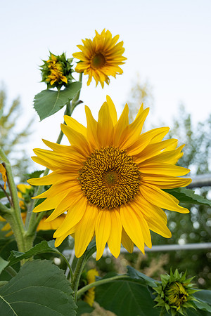 Nature on Campus - Aug 2024