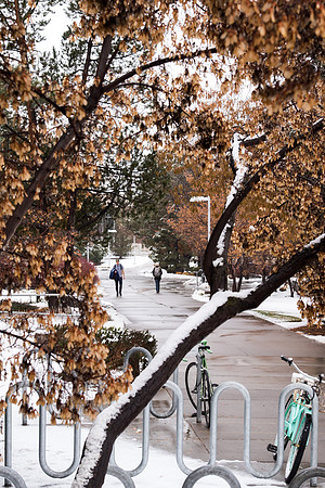 Snow season on campus.