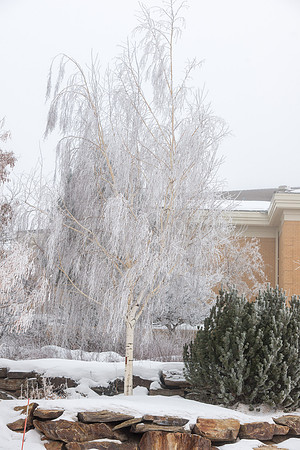 Frosty Winter day on BYU-idaho campus. Hinckely Building - Jan 2019